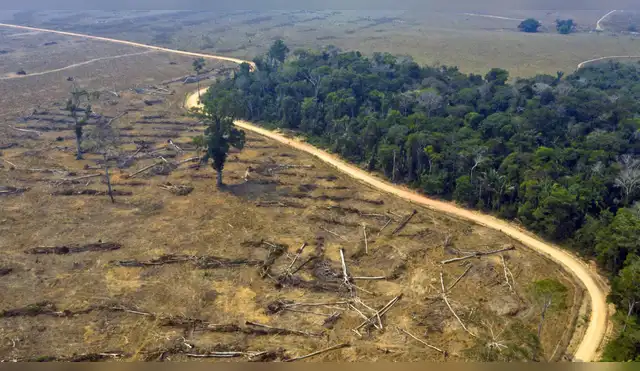 Amazonía enfrentó más de 12 mil desastres climáticos en una década Amazonía enfrentó más de 12 mil desastres climáticos en una década