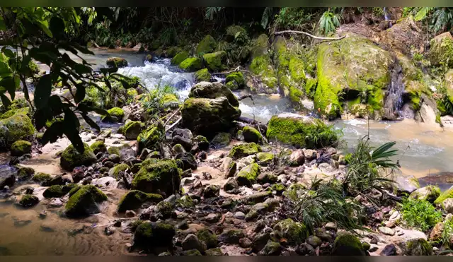 Luz verde para futura área de conservación Aguas Calientes Maquia en Loreto
