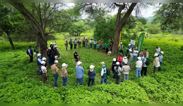 Piura reafirma su compromiso con el aprovechamiento sostenible de la algarroba Piura reafirma su compromiso con el aprovechamiento sostenible de la algarroba