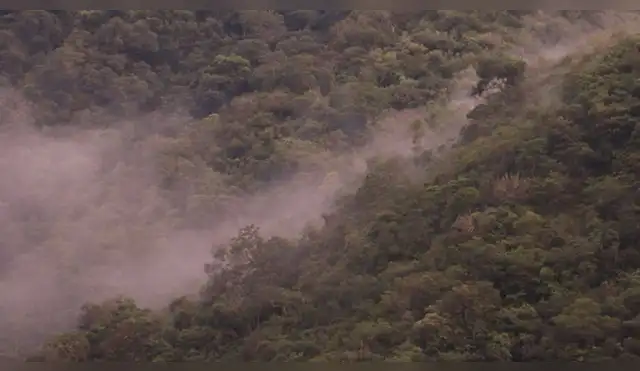 Cajamarca: Establecen Área de Conservación Regional Bosques Montanos de Huamantanga y Chorro Blanco Cajamarca: Establecen Área de Conservación Regional Bosques Montanos de Huamantanga y Chorro Blanco