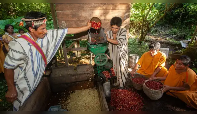Más de 2 mil indígenas en la Amazonía peruana demuestran que la protección de sus bosques no está reñida con el desarrollo Más de 2 mil indígenas en la Amazonía peruana demuestran que la protección de sus bosques no está reñida con el desarrollo
