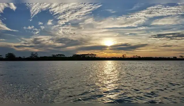Ucayali: 50 mil hectáreas de selva buscan frenar la depredación a través del ecoturismo y frutos amazónicos Ucayali: 50 mil hectáreas de selva buscan frenar la depredación a través del ecoturismo y frutos amazónicos