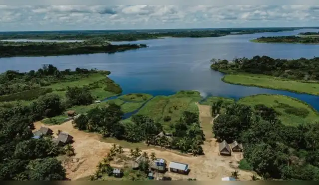 Ucayali: Alianza estratégica entre el GORE y poblaciones locales blindará más de 285 mil hectáreas de bosque