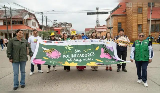 Oxapampa: Aprueban plan clave para proteger a los polinizadores en la reserva BIOAY Oxapampa: Aprueban plan clave para proteger a los polinizadores en la reserva BIOAY