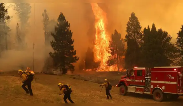 Incendios forestales arrasan 157 millones de hectáreas