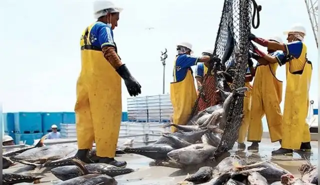 Congreso: fuerte presión para que no se apruebe ley que protege reservas marinas de la pesca industrial