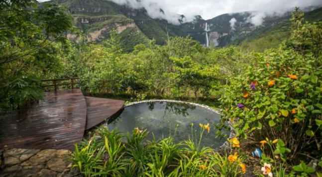 Gocta Natura, la organización que busca la recuperación de bosques