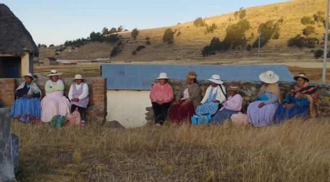 CENDEIT realiza campaña contra las heladas en Puno