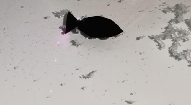 Diseñan un pez robot biónico que ‘come’ microplásticos de los mares