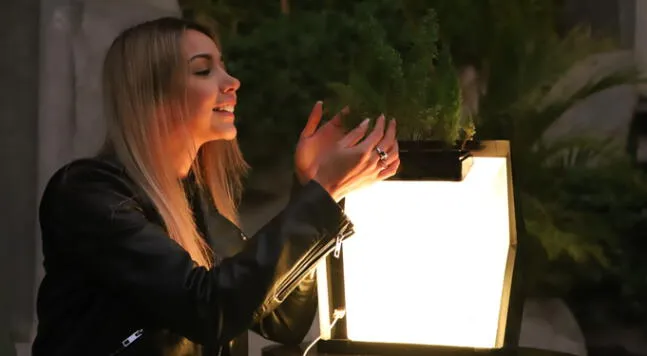 Alinti: el primer biocargador de energía eléctrica limpia a base de plantas