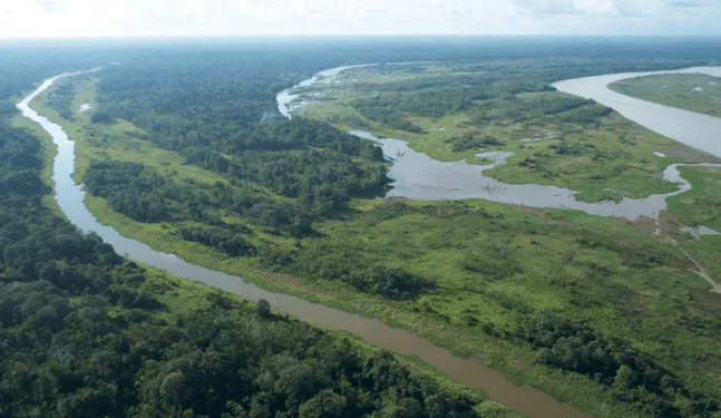 Ministerio del Ambiente lanza proyecto de manejo y restauración del bosque seco de la costa norte del Perú