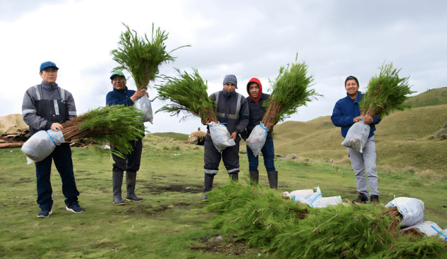 Newmont Yanacocha: Anuncian campaña de forestación 2023 en Cajamarca