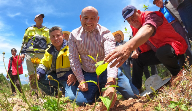 Proyecto “Huella verde” logró planta 600 mil árboles en Cajamarca