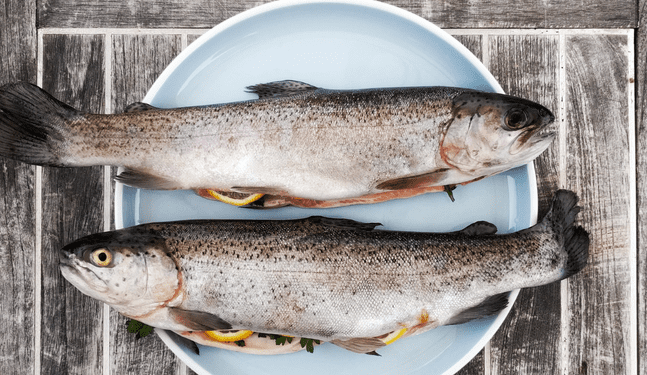 Recomendación de nutricionista: ¿Por qué es importante comer pescado?
