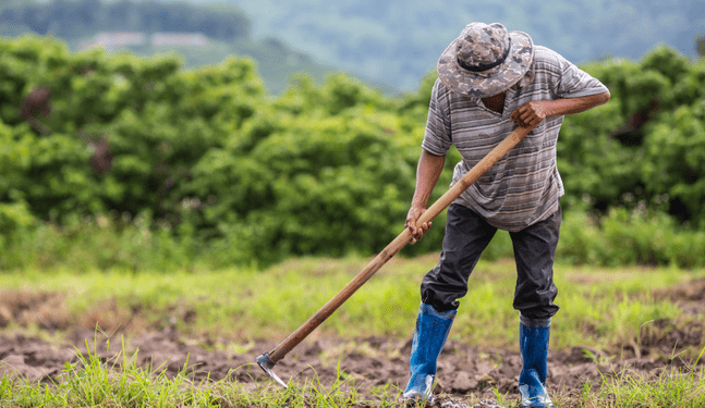 Con el uso de tecnología Blockchain, Green Cycle promueve la agroexportación sostenible