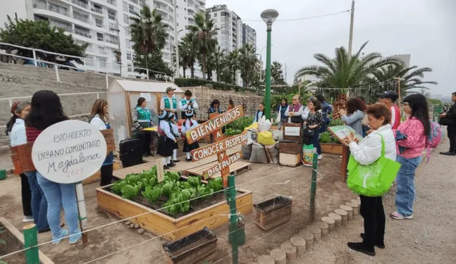 Biohuerto Magdalena 2023: Sembrando sostenibilidad y colaboración comunitaria