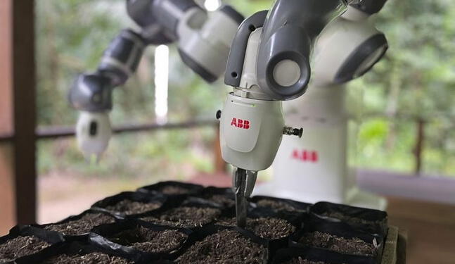 Robot ayuda sembrando semillas en Amazonas peruano para reforestar