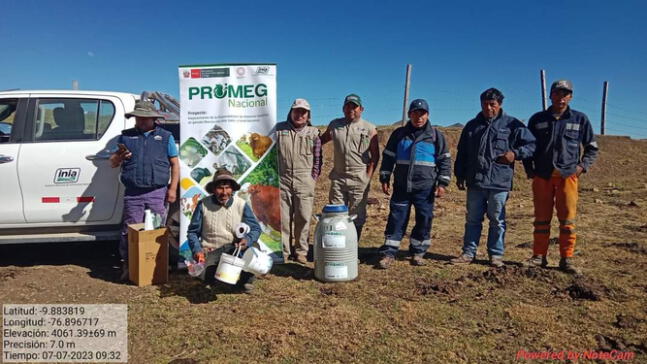 "Mejora genética y producción láctea revolucionan Ancash".