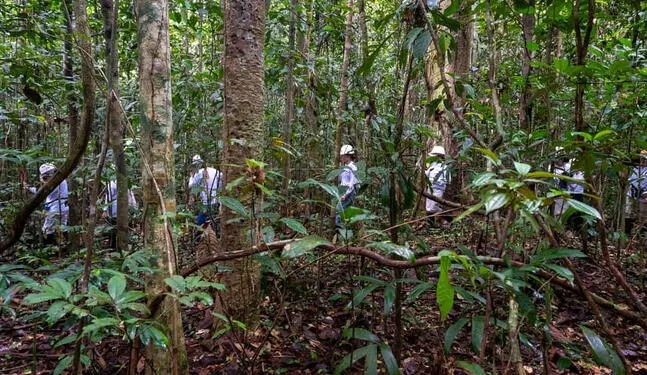 Visita a proyecto de conservación forestal promueve la sostenibilidad