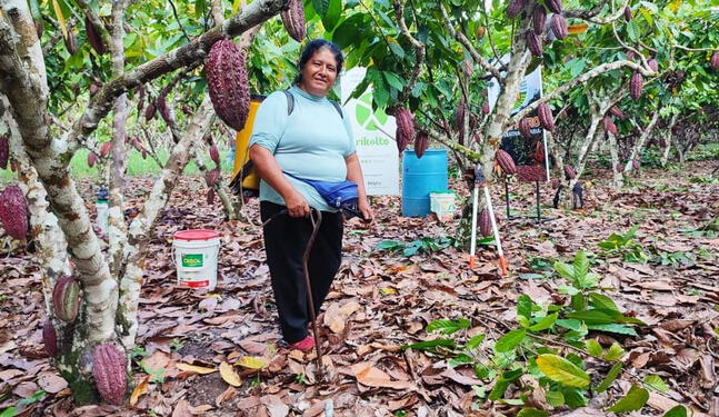 Productores de cacao promueven sostenibilidad agrícola