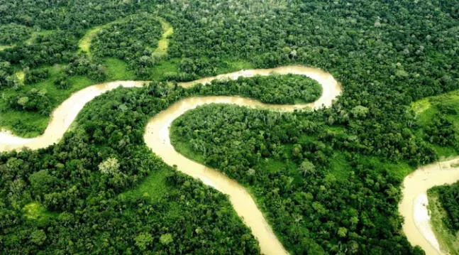 Ecuatorianos deciden proteger el Parque Nacional Yasuní