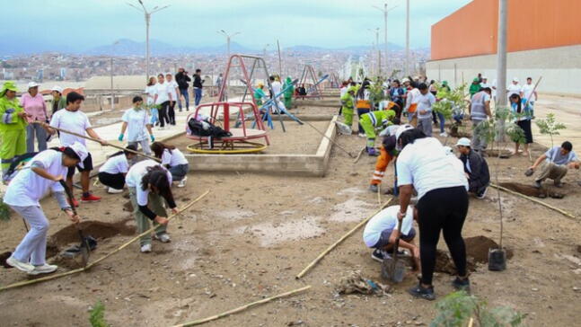 Segunda Gran Cruzada Verde proyecta plantar un millón de árboles