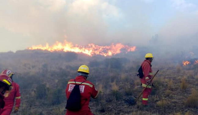 ONU: Incendios forestales aumentarán un 30% al 2050