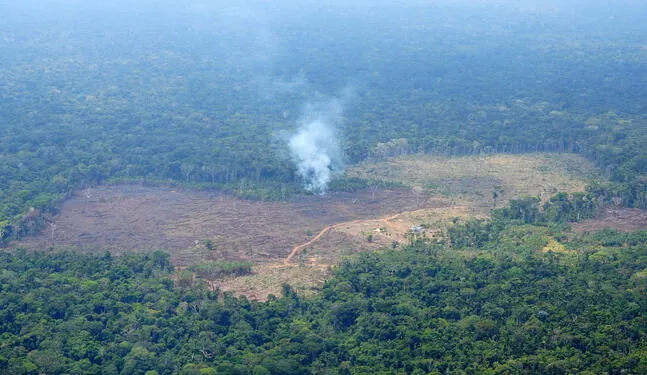 El 25% de ecosistemas de Colombia en estado crítico