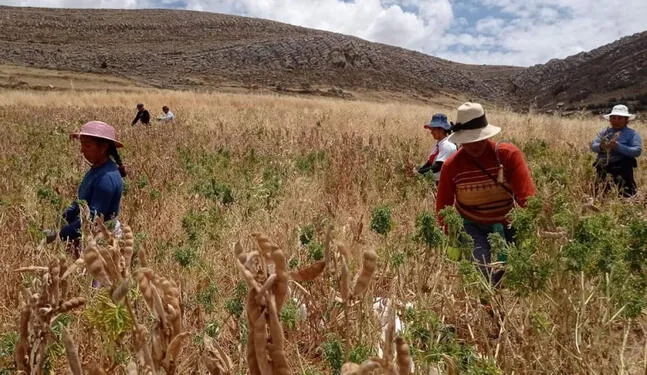 Bolivia sufre por la mayor sequía de los últimos años