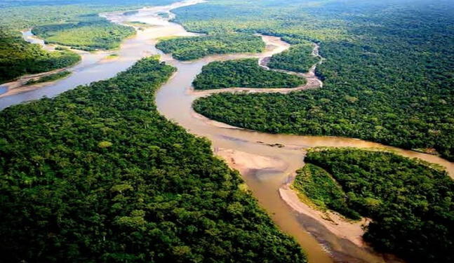 Principal afluente del río Amazonas en situación crítica