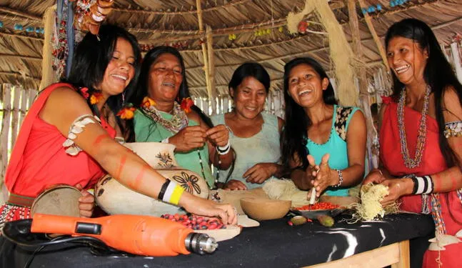 Mujeres de la Amazonía progresan con emprendimientos sostenibles