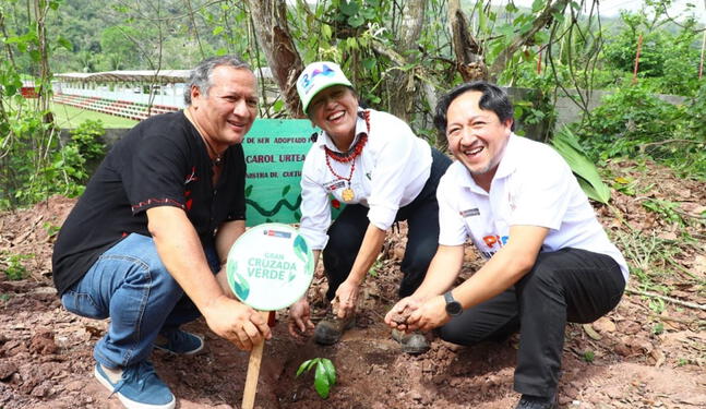 San Martín: Plantan 500 árboles en jornada de reforestación