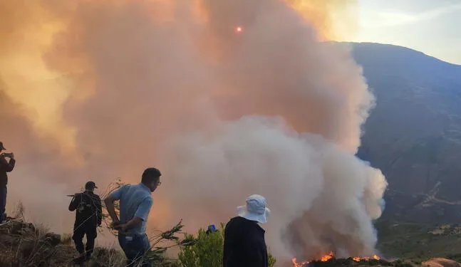 San Martín: Incendio forestal afecta reserva natural