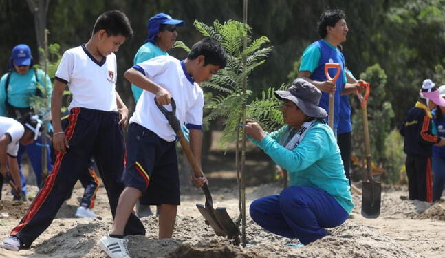 Escolares del país plantaron árboles para cuidar el medio ambiente