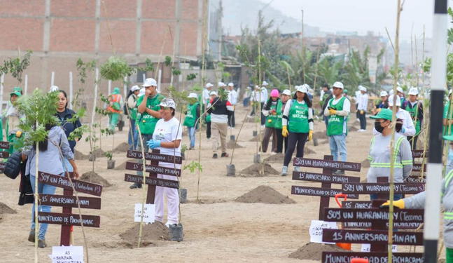 Más de 1 millón de árboles fueron sembrados en Gran Cruzada Verde