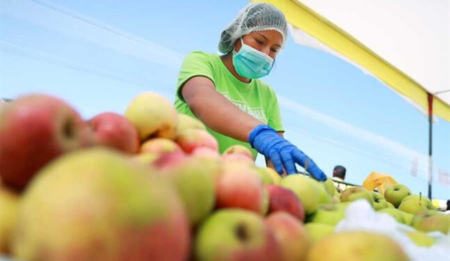 Alimentos peruanos presentan residuos de plaguicidas