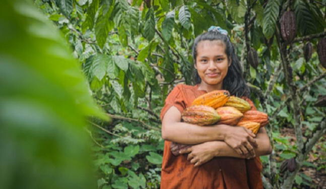 Cambio climático: Plataforma busca proteger a pueblos indígenas