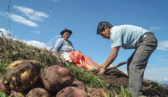 APEC 2024: Trujillo recibirá a 21 ministros de agricultura