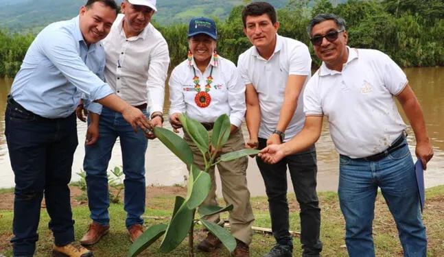 Gran Cruzada Verde planta 2,000 árboles nativos en San Martín