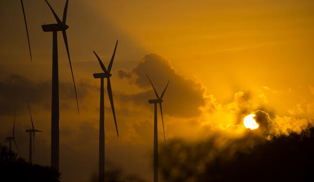 COP28: América Latina debe apostar por la financiación climática
