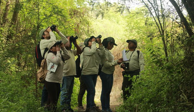 Jóvenes podrán ser Guardaparques voluntarios durante el verano