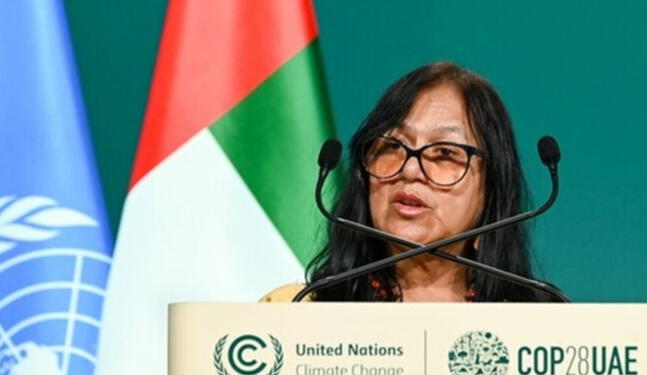 COP 28: Perú alcanza cinco logros durante cumbre climática