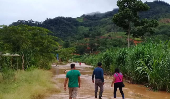 Madre de Dios aprueba Estrategia Regional de Cambio Climático