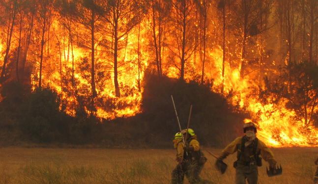 Australia: Olas de calor aumentan riesgo de incendios forestales