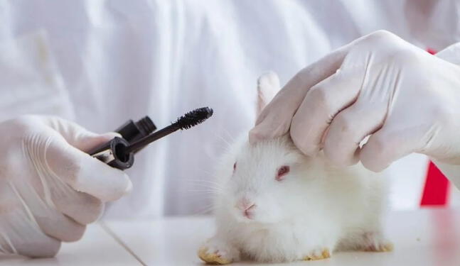 Chile prohíbe la experimentación de cosméticos en animales