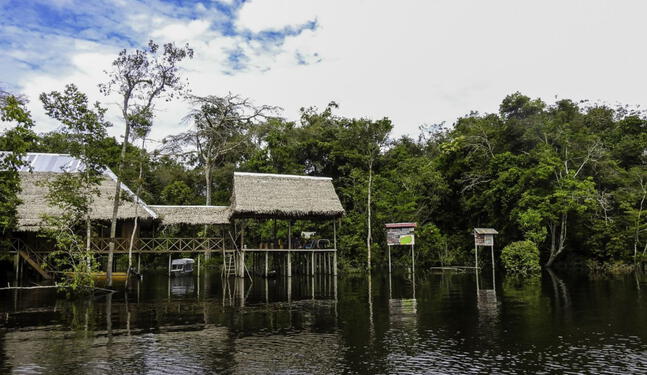 Reserva Nacional Allpahuayo Mishana cumple 20 años