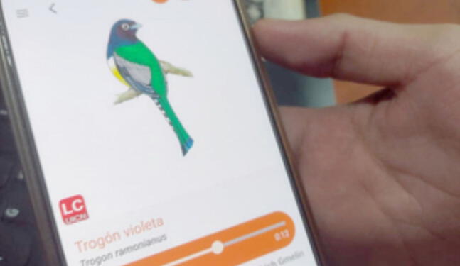 App móvil permite conocer más de 500 especies de flora y fauna