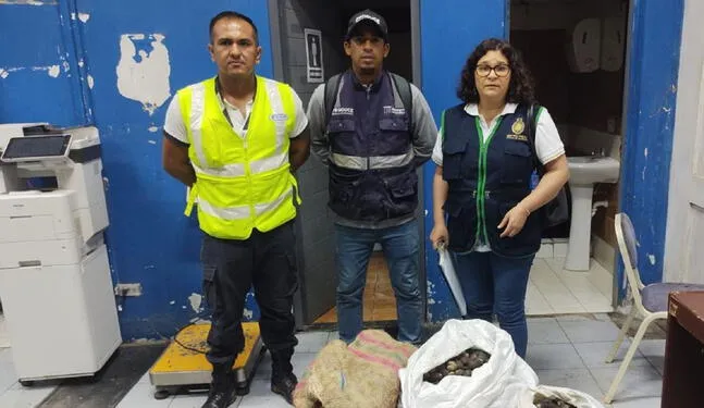 Tumbes: Verifican cumplimiento de la veda de cangrejo y concha negra