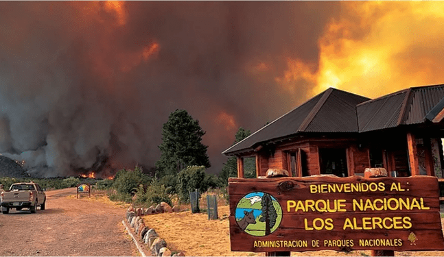Argentina: Parque Nacional Los Alerces es afectado por el fuego