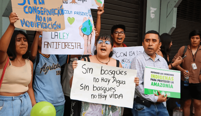 San Martín se moviliza contra modificación de Ley Forestal